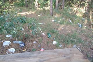 Las nieopodal ulicy Szmaragdowej tonie w śmieciach. 