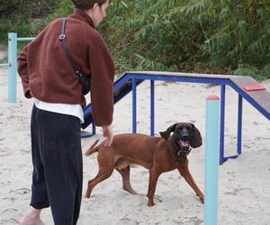 Jedyne takie miejsce na plażowej mapie Gdańska. Właściciele psów powinni o nim wiedzieć!