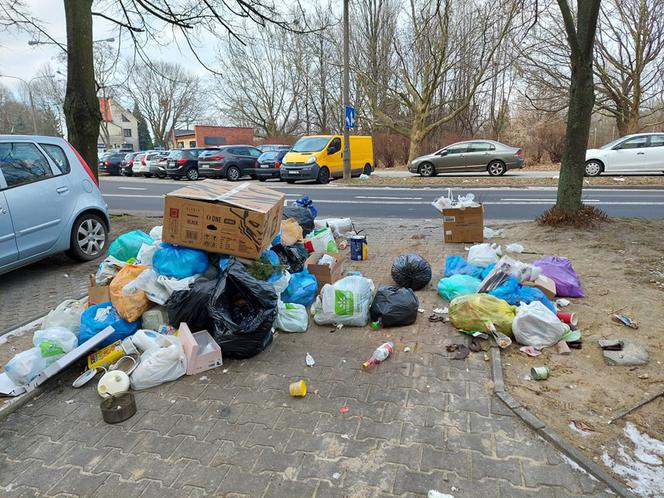 Problem z odbiorem śmieci na Czechowie