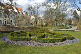 Wiosna w Bydgoszczy