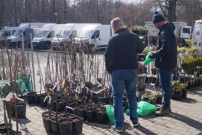 Wiosenny Kiermasz Ogrodniczy w Bydgoszczy [ZDJĘCIA]