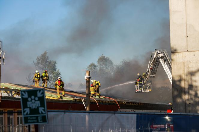 Pożar szpitala wojewódzkiego w Płocku! Z ogniem walczy prawie 40 zastępów straży pożarnej [ZDJĘCIA]