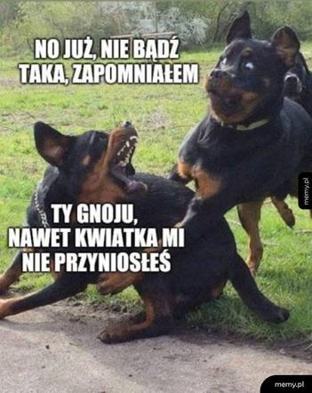 Memy na Dzień Kobiet 2025