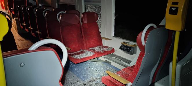 Zderzenie busa i pociągu pod Poznaniem. Są ranni!
