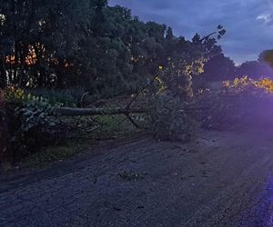 Burze nawiedziły województwo kujawsko-pomorskie. Zdjęcia z akcji strażaków