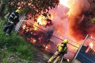 Potężny pożar w Cichoradzu pod Toruniem. Zdjęcia z akcji strażaków 