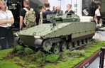 Model CBWP na MSPO 2025