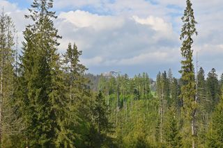 SkyWalk - Serce Poronina 