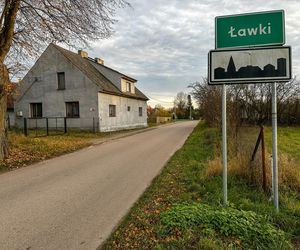 Takt zniknął ze stajni. Właściciel załamany