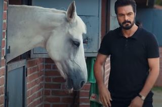 Emanet. Nieproszony gość w stadninie 