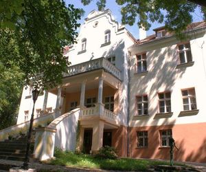 Pałac w Witosławiu