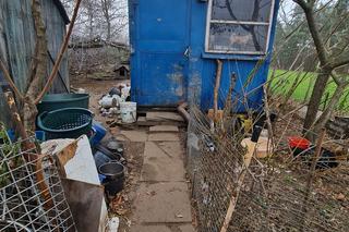 Ratowała pieski, a sama cierpiała męki! Dramat mieszkanki 