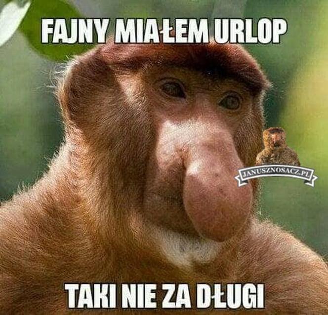 Urlop: memy