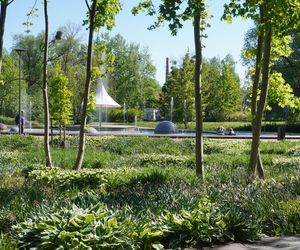 To najpiękniejszy park miejski w Olsztynie według AI. Zajmuje niemal 13 hektarów!
