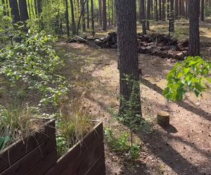 Julia Wieniawa zamieszkała w lesie