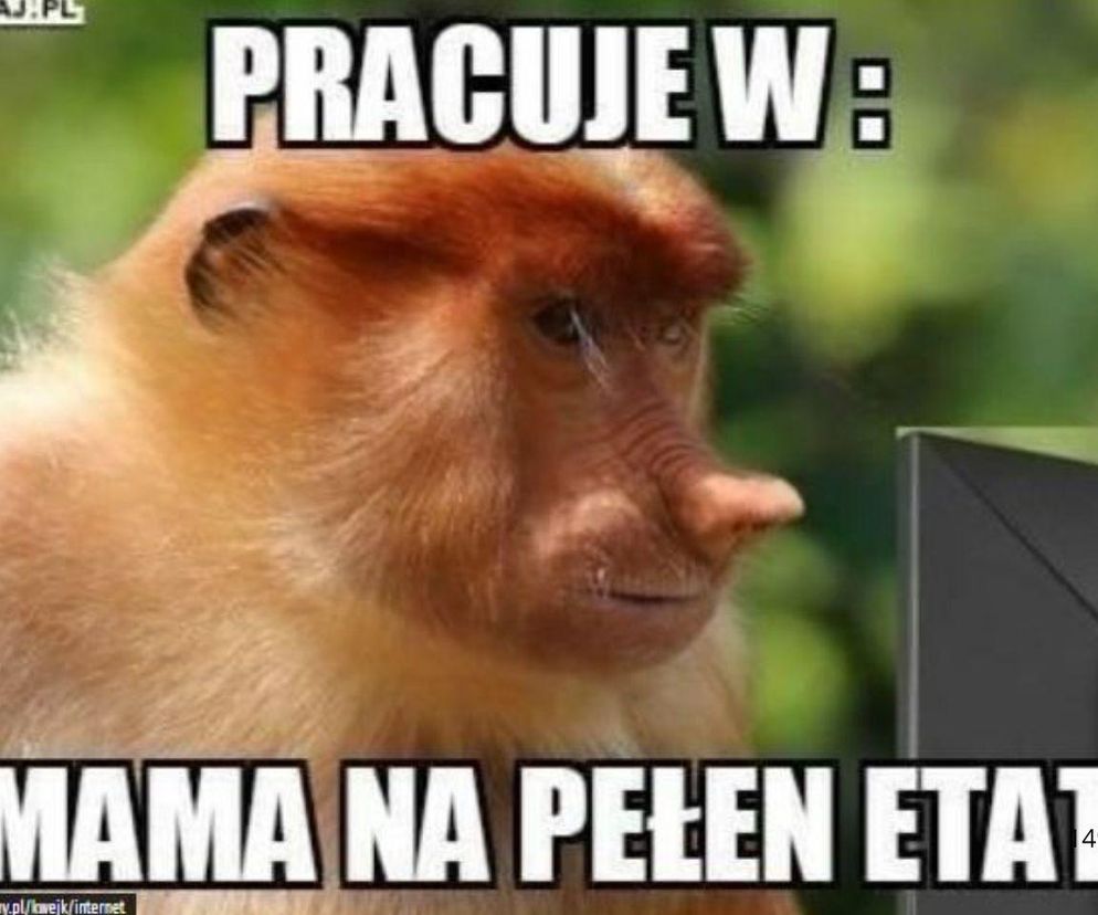 Memy na Dzień Mamy 2025