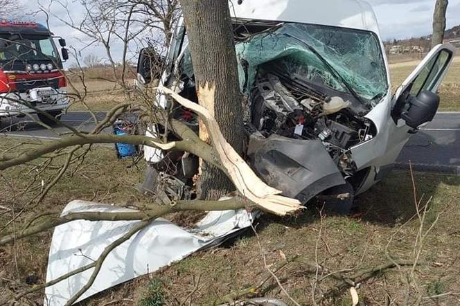 Koszmarny wypadek w Szubinie. Pijany 34-latek roztrzaskał się na drzewie! [ZDJĘCIA]