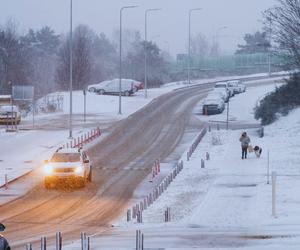Potężny atak zimy. Nad Polskę nadciąga śnieżyca