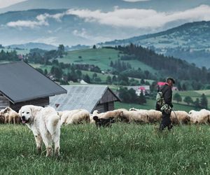 Wybieramy Cuda Polski 2025. Co ze Śląska zasługuje na to miano?