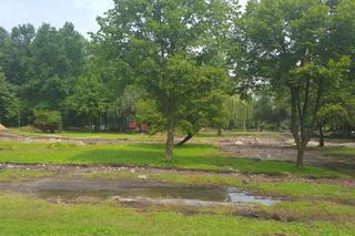 Ogród Jordanowski w Sosnowcu