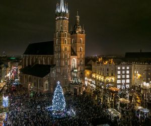 Najpiękniejsza choinka na świecie znajduje się w Polsce! Gdzie ją zobaczyć? 