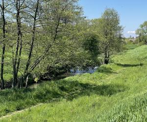 Najdłuższy park w Polsce jest w Krakowie. Ledwo widać go na mapach, a jest pełen atrakcji