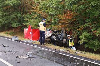 Śmierć na łuku drogi. Renault zderzyło się z ciężarówką, kierowca nie przeżył [ZDJĘCIA]