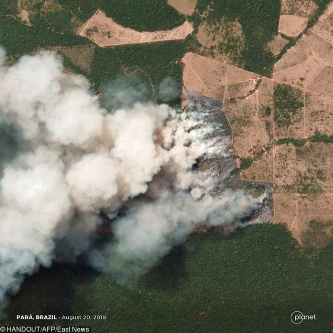 Płonące lasy Brazylii