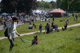 Właściciele zwierząt spotkali się w niedzielę 21 maja 2023 r. w Parku Fontann 