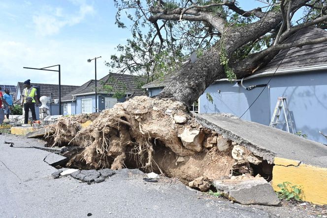Jamajka nierozpoznawalna" po kataklizmie! Ogromne zniszczenia, wideo przeraża