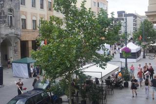 Tłumy na Piotrkowskiej. Zobacz, jak wygląda wizytówka Łodzi podczas urodzin miasta [ZDJĘCIA]