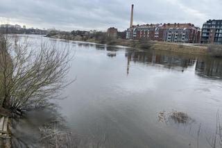 Poziom Warty w Poznaniu najwyższy od lat. Warta i Cybina zalewają pobliski teren