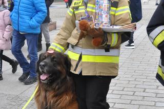 31. Finał WOŚP w 2023 roku w Kielcach