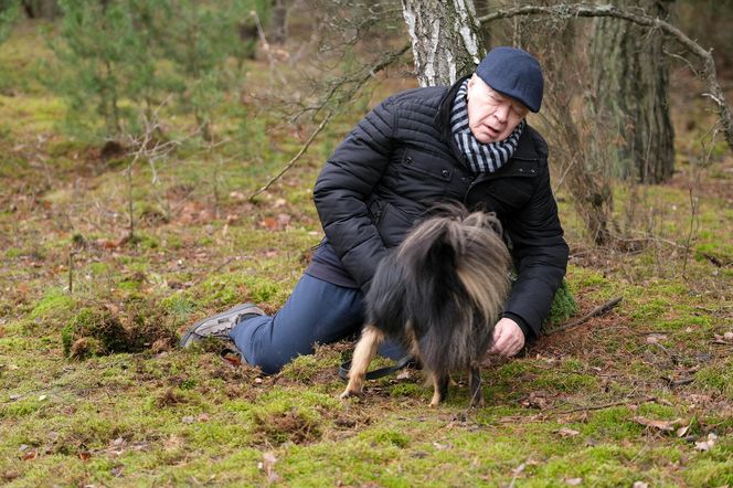 M jak miłość odc. 1857. Jan Mokrzycki (Wojciech Duryasz)