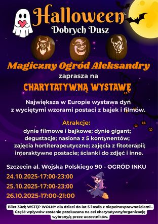 wystawa dyń