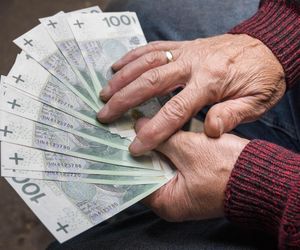 Wsteczne 800 plus – miliony Polaków mogą dostać pieniądze za wychowanie dzieci