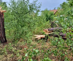 Skutki nawałnic w powiatach brzeskim i tarnowskim z 7 lipca 2025 roku