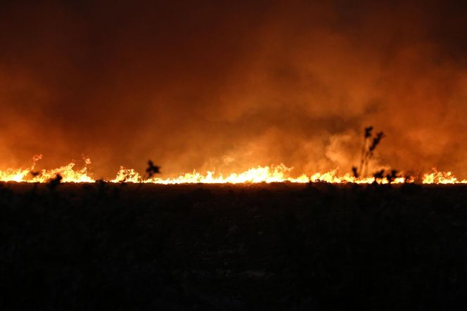 Szok w Turcji! 50 stopni Celsjusza, ostrzeżenie dla Polaków