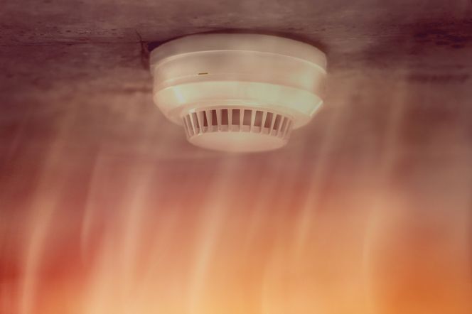 Systemy zabezpieczeń osób i mienia