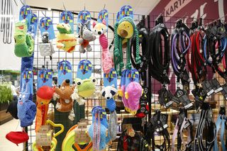 Zimowe PupiLove Targi w Katowicach. Nie brakuje miłośników czworonogów