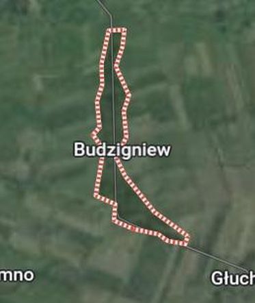 Budzigniew