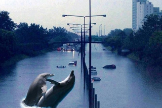 Zalana Warszawa - memy