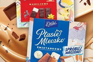 Nowe promocje w Dino