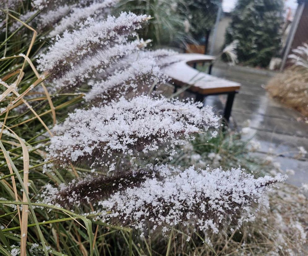 Pierwszy śnieg na Podkarpaciu