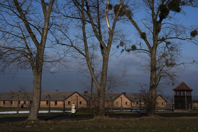  W poniedziałek 80. rocznica wyzwolenia niemieckiego obozu zagłady Auschwitz–Birkenau