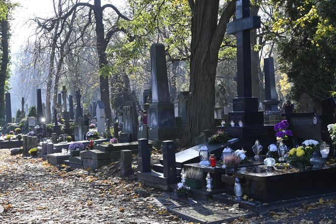 Gwiazdy kwestują na Powązkach