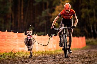 Polacy dominują na Mistrzostwach Świata Psich Zaprzęgów w Niemczech 