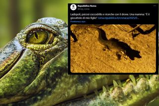 Panika we Włoszech przez krokodyla! Finał sprawy szokuje