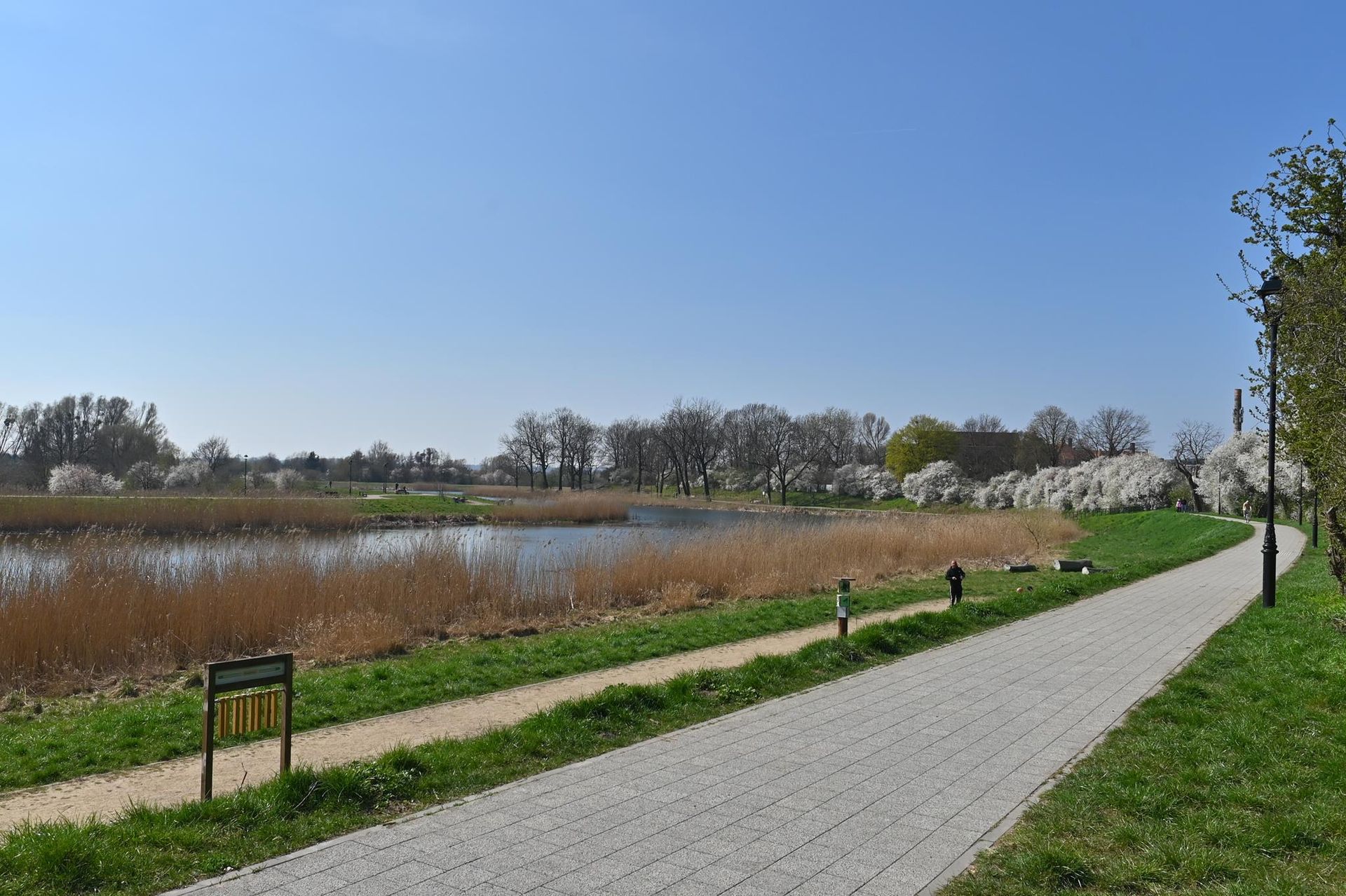 Rewitalizacja Dolnego Miasta i Starego Przedmieścia