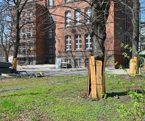 Rewitalizacja Dolnego Miasta i Starego Przedmieścia